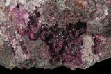 Sparkling Roselite Crystals on Quartz - Morocco #137018-2